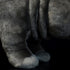Frankiezhou Home 14 Realistic Hippo Plush Toy - Simulation Standing Hippopotamus Stuffed Animal, Soft Wild Animals