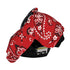 Hcpwzrf Red Redpaisley Boho Baby Car Seat Cover & Nursing Cover - Breathable Stretch Multi-Use Cover for Breastfeeding