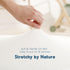 3 Pack, GRSSDER Stretchy Ultra Soft Fitted Bassinet Sheet Universal Fit for Bassinets Baby Cradle Moses Basket Oval