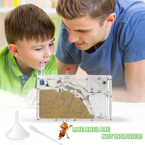 Ant Farm Castle - Ant Farms with Yellow Sand and Tool Kit for Kids, Educational Observation Habitat Science Kit