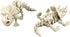 5PCS 3D 3D 3D PowerTRC Printed Dinosaur Skeletons, T-Rex Triceratops Stegosaurus Velociraptor Spinosaurus Fidget Toys