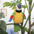 Talking Macaw Parrot Plush Toy, Repeat What You Say, Electronic Record Animated Bird for Kids