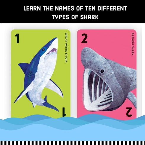 Mudpuppy Go Shark! – Ferocious Kids Go Fish Card Game with Colorful Shark Illustrations, Ages 4+, 2-4 Players