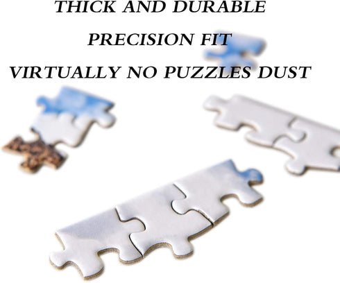 Yundu 1000 Piece Puzzles for Adults - Moraine Lake Jigsaw Puzzle