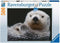 RAVENSBURGER 500 Pieces Puzzle - Sweet Little Otter