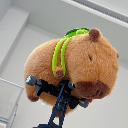 Capybara Stuffed Animals - Soft Kawaii Rodents Plush with Turtle Backpack, 23cm/9.05inch - Best Birthday Gift for Kids