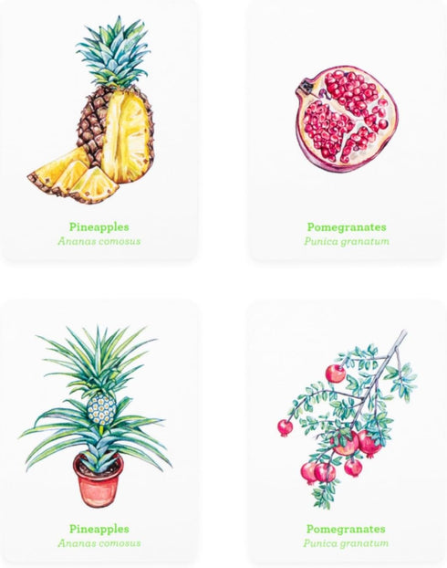 Laurence King Gardener's Match A Fruit and Vegetable Memory Game