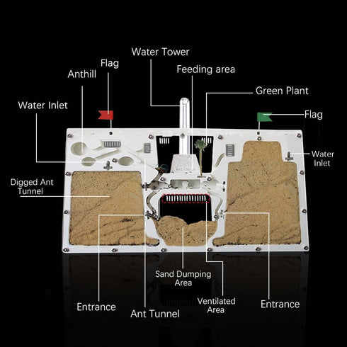 Ant Farm Castle | Ant Farms with Yellow Sand and Tool Kit | Educational Observation Kit for Kids and Adults