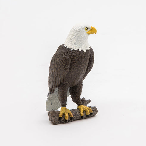 3+ PAPO - Sea Eagle - Realistic Figurine - for Ages - Wild Animal Kingdom Collection - Hand Painted - Highly Detailed