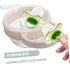 Cute Portable Pacifier Holder Case for Babies - Travel-Friendly Storage Solution