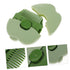 Set for Boys and Girls Baby Fetal Hair Comb Hair Brush for Newborns Grooming Kit for Split Ends