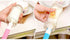 INVODA 4PCS Bottle Brush Set, Long Sponge Baby Bottle Cleaner and Nipple Brush