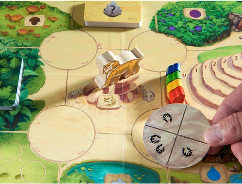 HABA HONGA - Tactical Strategy & Resource Management Board Game for Beginner & Experienced Players
