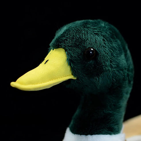 12.2" Nohito Kawaii Realistic Mallard Duck Plush Stuffed Animal Lifelike Green Duck Plushie Pillow Doll Home Decoration