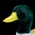 12.2" Nohito Kawaii Realistic Mallard Duck Plush Stuffed Animal Lifelike Green Duck Plushie Pillow Doll Home Decoration