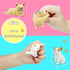 7 Pcs Dog Squishies Toy Set, Stress Balls for Kids and Adults, Animal Puppy Stress Relief Squeeze Toys