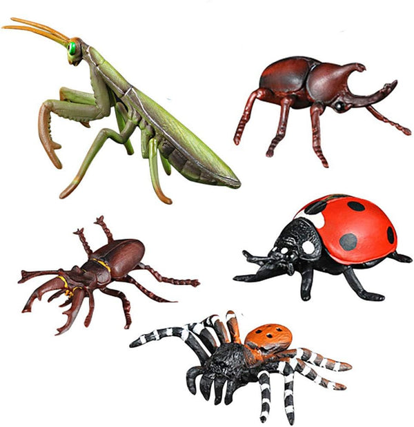 Insect Bug Toy Figures - 5pcs Realistic Ladybug Spider Action Models for Toddlers Educational Learning Gifts