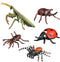 Insect Bug Toy Figures - 5pcs Realistic Ladybug Spider Action Models for Toddlers Educational Learning Gifts