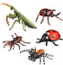 Insect Bug Toy Figures - 5pcs Realistic Ladybug Spider Action Models for Toddlers Educational Learning Gifts