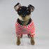 CU-MATE 10 inch Doberman Pinscher Dog Stuffed Animal - Black and Tan Lifelike Plush Toy Gift