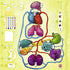 Arcane Wonders VIRAL Board Game