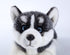 CU-MATE Siberian Husky Stuffed Dog Animal Simulation-Realistic & Lifelike Soft Handmade Lying Dog Plush Toy Puppy