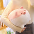 Levenkeness Soft Fat Pig Plush Hugging Pillow, Cute Piggy Stuffed Animal Doll, Brown, 15.7"