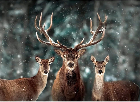 MaxRenard Game 1000 Pieces Jigsaw Puzzle for Adults, Animal Toy Noble Deer Family