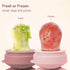 2 Pack, 4M+, Frozen Baby Fruit Feeder Pacifier Silicone Baby Food Feeder, Pink Bunny Feeder for Babies Fruit Feeder