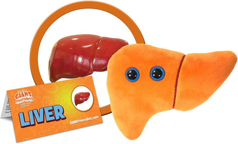 GIANTmicrobes Stuffed Liver Plush, Liver Stuffed Animal, Anatomical Liver, Hepatologist Gift, Liver Transplant Gifts, Hepatitis Gift, Hepatology Gift, Cirrhosis Gift, Liver Pillow, Liver Donor Gift
