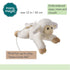 Musical Lamb Soft Toy - Jesus Loves Me by Mary Meyer