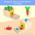 Montessori Toddler Play Kit - Montessori Box Toys for 1-2 Years Old, Learning Toys Gift with Carrot Harvest Game and