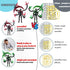 SGYYSG T-13 13 3D 5.2 Inch) Action Figure, Assembly Completed Action Figures,T Printed Toys - The Premium Robot