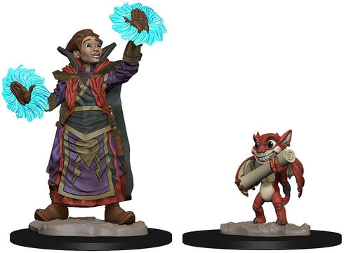 WizKids Wardlings RPG Figures, Boy Wizard & Imp.