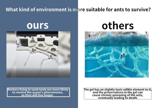 Ant Farming Castle, Educational Habitat Science Learning Kit for Live Ants, Toy Kit for Kids
