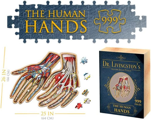 Dr. Livingston's Human Hands Anatomy Puzzle - A Medically Accurate Jigsaw Puzzle of the Hands - Educational