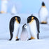 MAOMIA Cute Ocean Animal Penguin Model Collection Playset, Realistic Penguin Figurines for Easter Eggs Cake Toppers