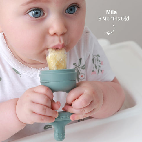 Set, 4 SAMiGO Baby Food Fruit Feeder and Breastmilk Popsicle Mold Silicone Fruit Teether, Food Feeder Pacifier
