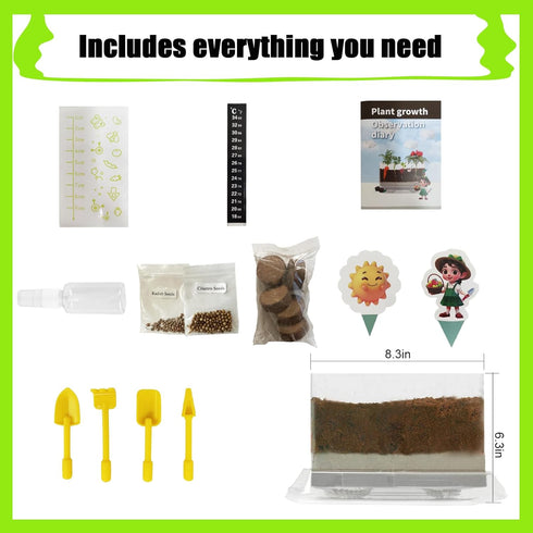 6 7 8 9 10 Set, WKLOUYHE Root Viewer Kit for Kids STEM Science Toy & Craft Growing Kits for Ages Birthday Easter Gifts