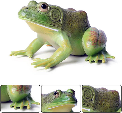 Simulated Tree Frog Model Figure Toy - Realistic Bullfrog Figurines Collection for Educational Props