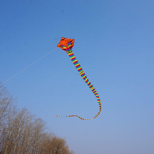 Besra Large Cobra Snake Kite, 52ft Colorful Rattlesnake Kite with Long Tails for Outdoor Fun