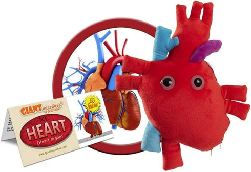 GIANTmicrobes Deluxe 15" Heart Plush with Blood Cells - Anatomical Heart Gifts for Cardiologists