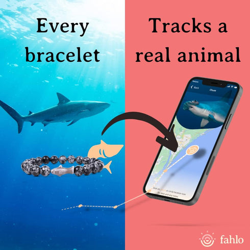 Fahlo Shark Tracking Bracelet, Elastic, Supports Saving The Blue, One Size Fits Most for Men and Women
