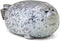 ETAOLINE Chubby Blob Seal Pillow - Cute Medium Seal Plush Toy for Kids