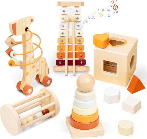 Wooden Montessori Toys for 6-12 Months,Montessori Baby Blocks Toy for 6-12-18 Months,Shape