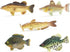 American Angler Collection Toy Fish Set with Collector Case, Miniature Figurine Fish by Toy Fish Factory