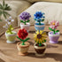 Sacblirr 6 Set Mini Flower Bonsai DIY Potted Plant Building Blocks Flower Seasons Rhythm for Kids and Adults, Botanical
