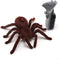 Tipmant Simulation Cute RC Spider Infrared Remote Control Vehicle Car Electric Realistic