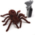 Tipmant Simulation Cute RC Spider Infrared Remote Control Vehicle Car Electric Realistic