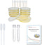 Bacteria Science Kit: Pre-poured LB Agar Plates, Cotton Swabs, E-Book for Science Fair Project with Award Winning